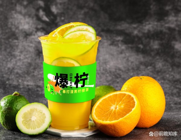 老牌配资平台 福建生态农业观光柠檬种植项目可行性研究报告